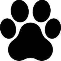 petcarecopywriter.com logo, petcarecopywriter.com contact details