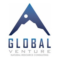 Global Venture Consulting logo, Global Venture Consulting contact details