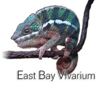 East Bay Vivarium logo, East Bay Vivarium contact details