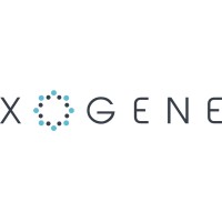 Xogene Services logo, Xogene Services contact details