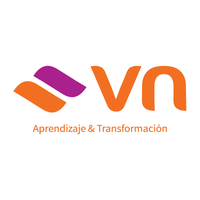 VN Consultora logo, VN Consultora contact details