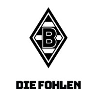 Borussia VfL 1900 Mönchengladbach GmbH logo, Borussia VfL 1900 Mönchengladbach GmbH contact details