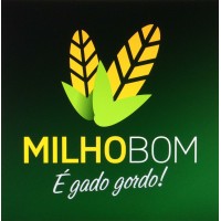 Milho Bom logo, Milho Bom contact details