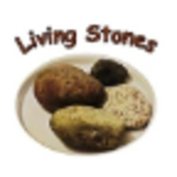 Living Stones logo, Living Stones contact details