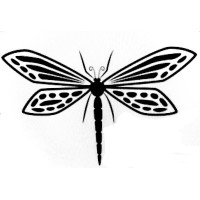 Dragonfly Central, Inc. logo, Dragonfly Central, Inc. contact details