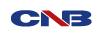 CNB Technology USA logo, CNB Technology USA contact details