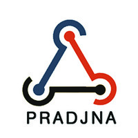 Pradjna Intellisys Pvt. Ltd logo, Pradjna Intellisys Pvt. Ltd contact details