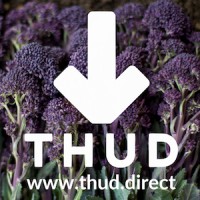 THUD Limited logo, THUD Limited contact details