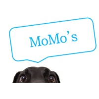 MoMos logo, MoMos contact details