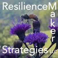 ResilienceMaker Strategies LLC logo, ResilienceMaker Strategies LLC contact details