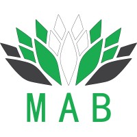 MAB Digital Marketing Agency logo, MAB Digital Marketing Agency contact details