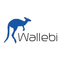 Wallebi Exchange logo, Wallebi Exchange contact details