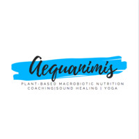 Aequanimis Pte Ltd logo, Aequanimis Pte Ltd contact details