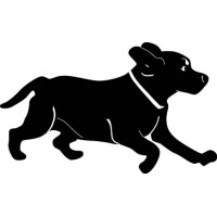 Black Dog Studio logo, Black Dog Studio contact details