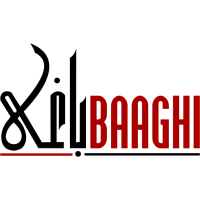 Baaghi TV News logo, Baaghi TV News contact details