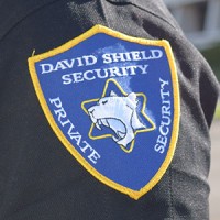 David Shield Security logo, David Shield Security contact details