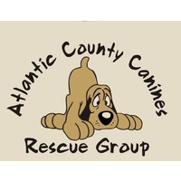 Atlantic County Canines logo, Atlantic County Canines contact details