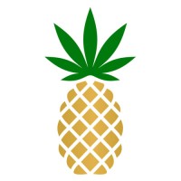 Pineapple, Inc. logo, Pineapple, Inc. contact details