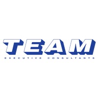 Team Executive Consultants logo, Team Executive Consultants contact details