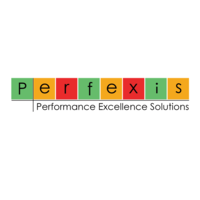 Performance Excellence Solutions logo, Performance Excellence Solutions contact details