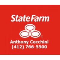 Anthony Cecchini - State Farm Insurance logo, Anthony Cecchini - State Farm Insurance contact details