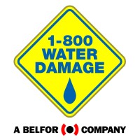 1-800 WATER DAMAGE of Washtenaw County & Taylor logo, 1-800 WATER DAMAGE of Washtenaw County & Taylor contact details