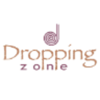 Dropping Zone logo, Dropping Zone contact details