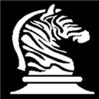 Bold Zebras logo, Bold Zebras contact details