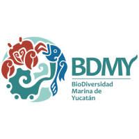 Biodiversidad Marina de Yucatán logo, Biodiversidad Marina de Yucatán contact details