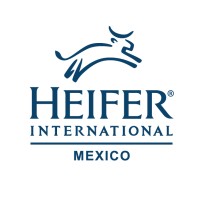 Heifer México logo, Heifer México contact details