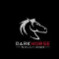 Dark Horse Solutions (Pty) Ltd logo, Dark Horse Solutions (Pty) Ltd contact details