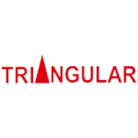 Triangular Infosolutions Pvt. Ltd logo, Triangular Infosolutions Pvt. Ltd contact details