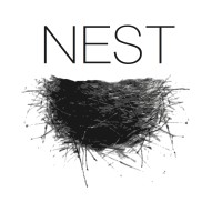 NEST Jewelry and Interiors logo, NEST Jewelry and Interiors contact details