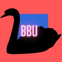 Big Bird Universe (BBU) logo, Big Bird Universe (BBU) contact details