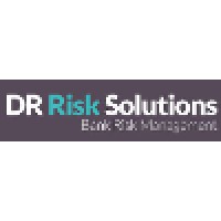 DR Risk Solutions logo, DR Risk Solutions contact details