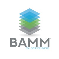 BAMM Consulting logo, BAMM Consulting contact details