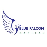 Blue Falcon Capital logo, Blue Falcon Capital contact details