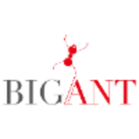 Big Ant logo, Big Ant contact details