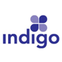 Indigo Forward logo, Indigo Forward contact details