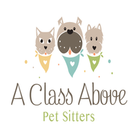 A Class Above Pet Sitters logo, A Class Above Pet Sitters contact details