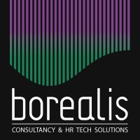 Borealis Consulting logo, Borealis Consulting contact details