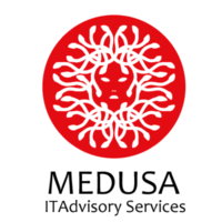 Medusa Consulting logo, Medusa Consulting contact details