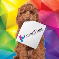 IntegriPrint, Inc. logo, IntegriPrint, Inc. contact details