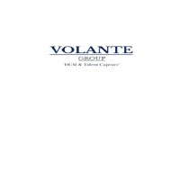 Volante Group logo, Volante Group contact details