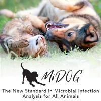 MiDOG LLC logo, MiDOG LLC contact details