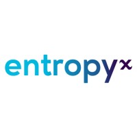 EntropyX logo, EntropyX contact details