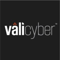 Vali Cyber logo, Vali Cyber contact details