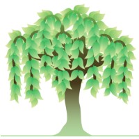 Willow Tree Psychology and Wellbeing logo, Willow Tree Psychology and Wellbeing contact details