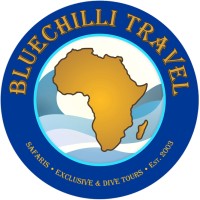 Bluechilli Travel logo, Bluechilli Travel contact details