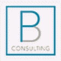 Broad Perspective Consulting logo, Broad Perspective Consulting contact details